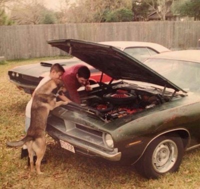 4fc4e50c74b59e48dce28a2356354bd2.jpg (106.09 KiB) 17271 mal betrachtet 4fc4e50c74b59e48dce28a2356354bd2.jpg